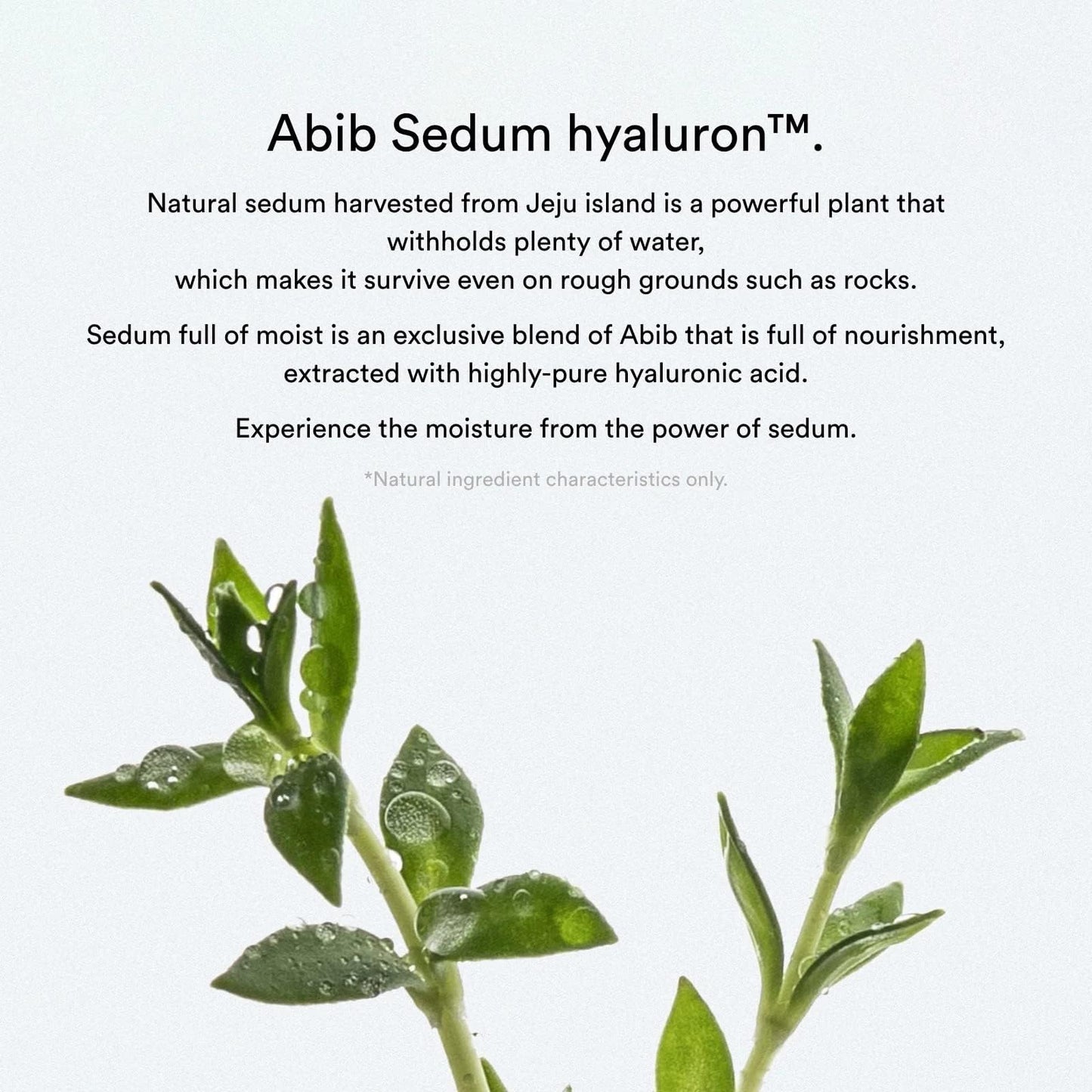 Abib Collagen Gel Mask Sedum Jelly 10 Sheets (Hydrating) I Korean Vegan Collagen, Cooling Hydrating Hyaluronic Acid Hydrogel Face Mask Skin Care